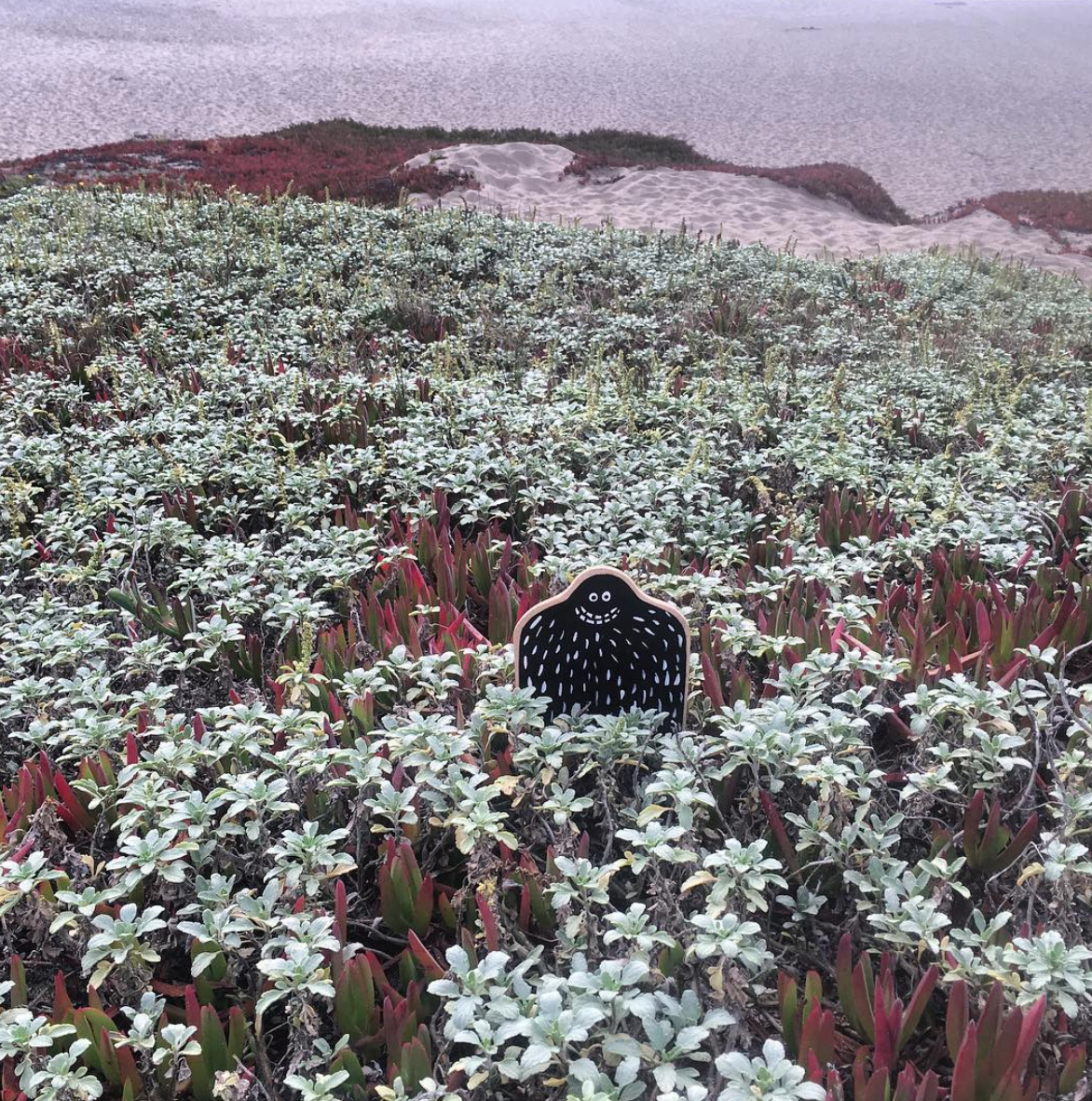 Point Reyes Beach